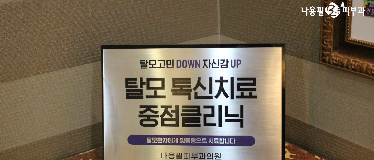 탈모치료