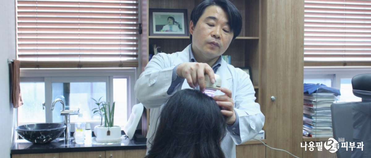 전남 모발이식 비용